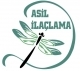 Asil ilaçlama